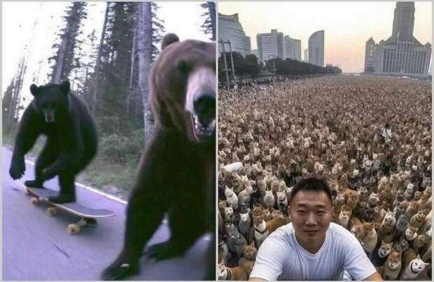 14 снимков, на которых происходит что-то очень крутое 14 снимков, на которых происходит что-то очень крутое