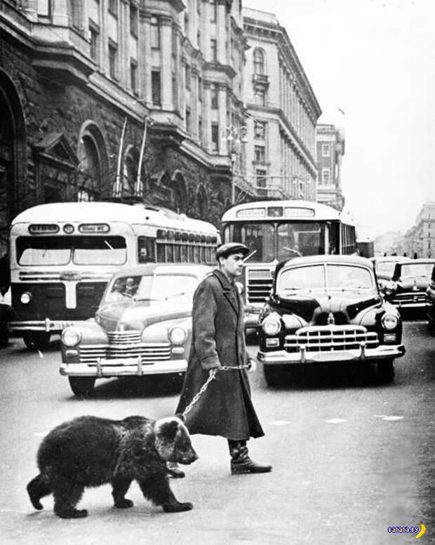 СССР – фото 1950 - 60-ые на фото СССР – фото 1950 - 60-ые на фото