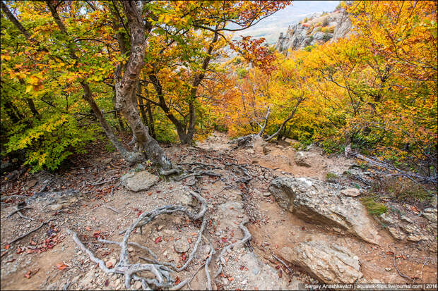 Осень в Крыму Осень в Крыму