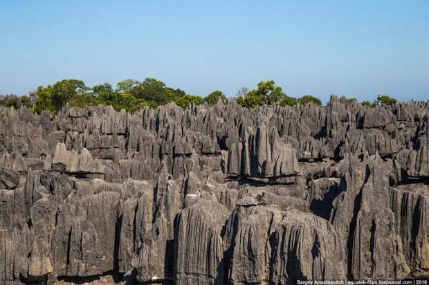Это стоит увидеть своими глазами! Каменный лес Цинги (27 фото)
