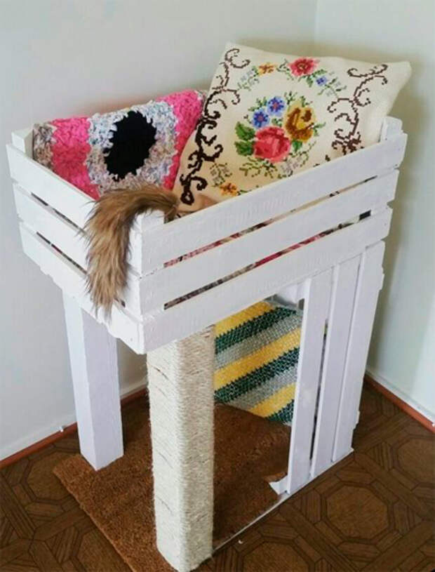 Кот и среда обитания.
