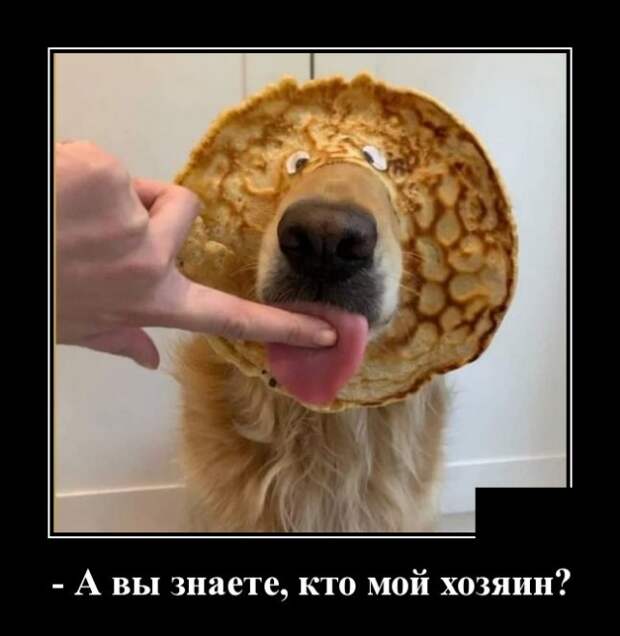 Демотиваторы (30 фото)