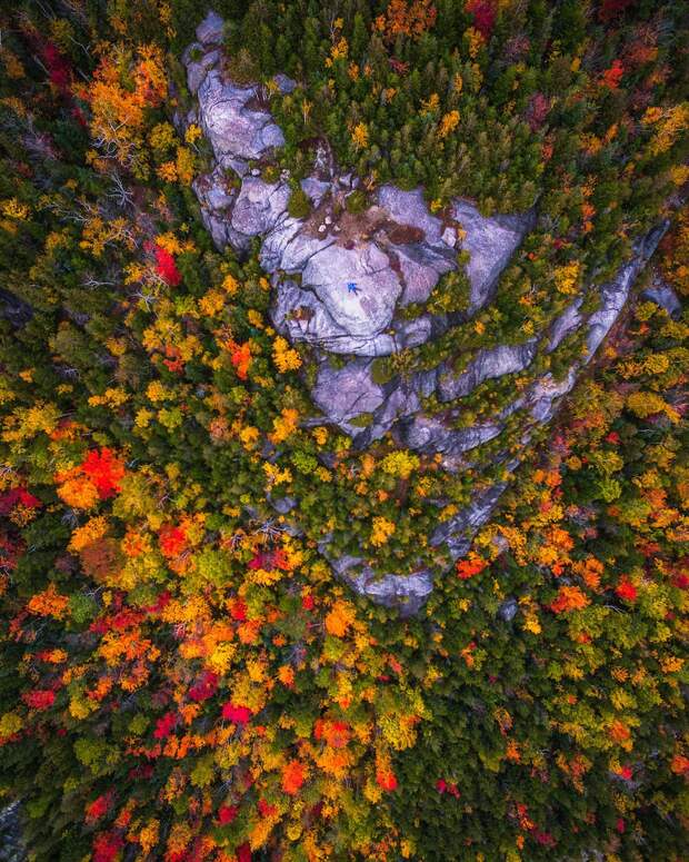 Красота осени в разных штатах Америки
