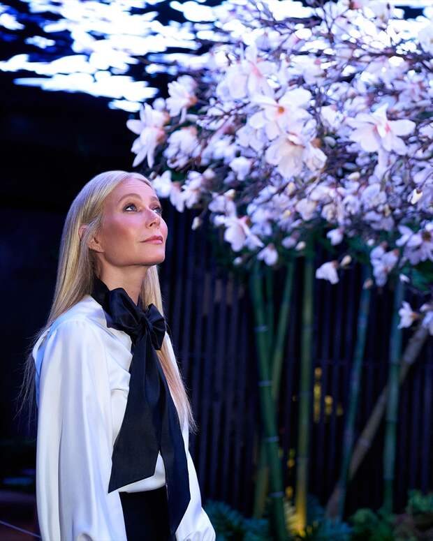 Гвинет Пэлтроу рассказала, как её лишили роли из-за развода с Крисом Мартином