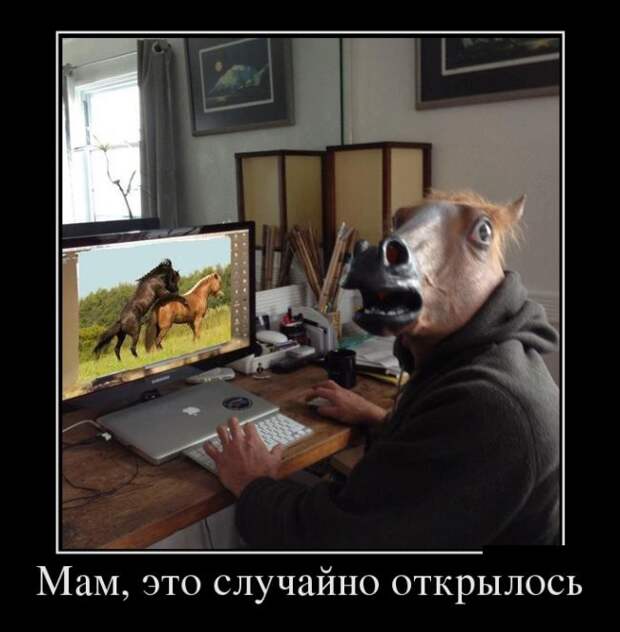 Демотиваторы (30 фото)