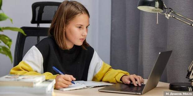 Эксперт ВШЭ: Онлайн-технологии позволили не прерывать учебный процесс в школах. Фото: М.Денисов, mos.ru