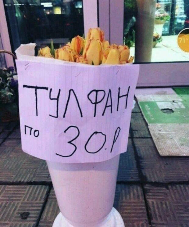 Экзотические цветы. | Фото: Пикабу. Экзотические цветы. | Фото: Пикабу.