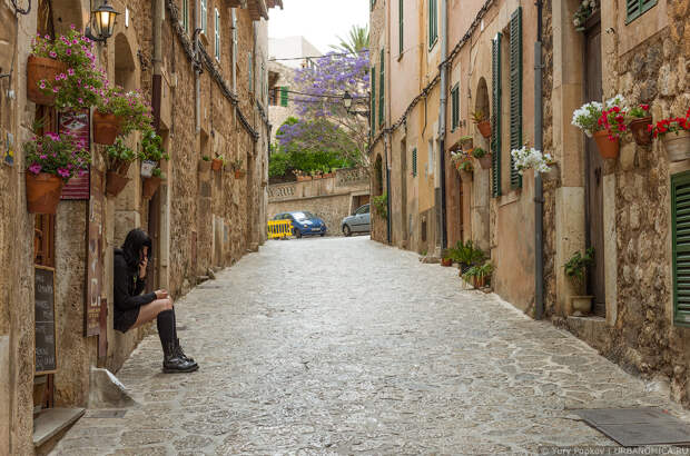 6: Город тысячи цветочных горшков