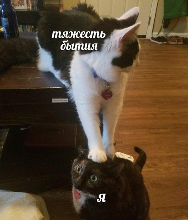 www.vsyako.net