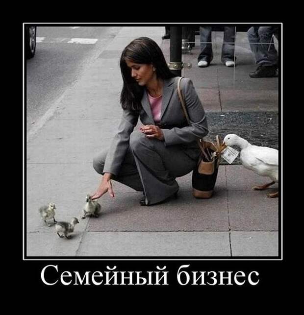 Демотиваторы (30 фото)