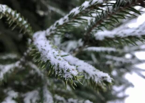 Погода в Крыму 21 января 2022 года: будет дождь со снегом