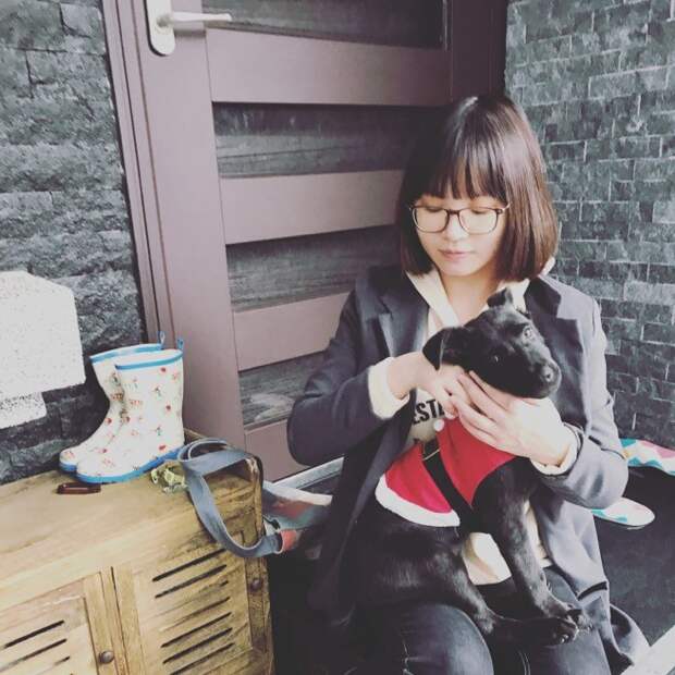 На Тайване собака спасла хозяйку, предупредив ее о землетрясении