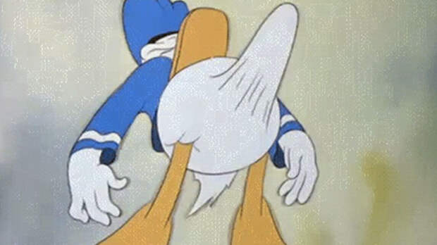 Стояк Дональда Дака