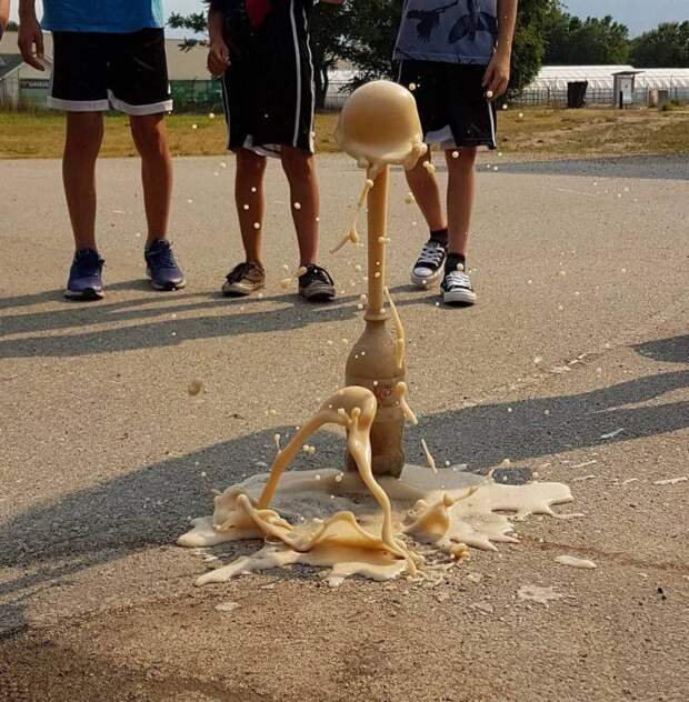 kartinok-prikolnyh-podborka-kartinki-smeshnye-kartinki-fotoprikoly