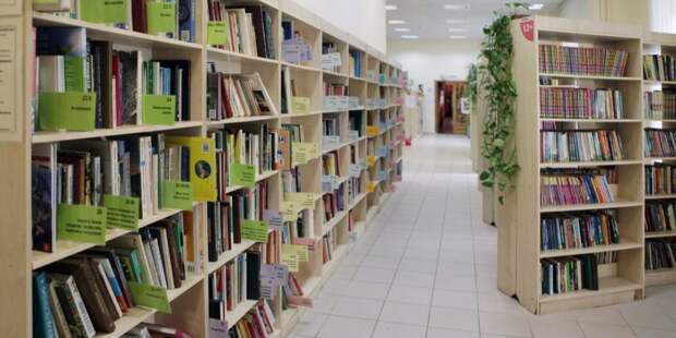 biblioteki(10) alt