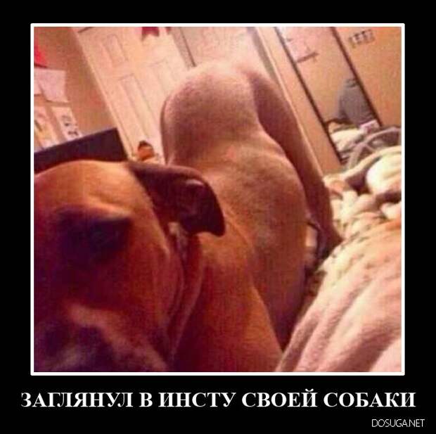 Забавные демотиваторы (07.03.2022)