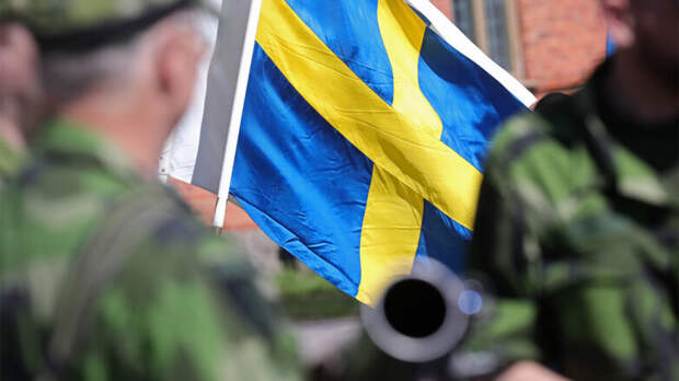 Министр обороны Швеции рассказал о возможности отправки войск на Украину