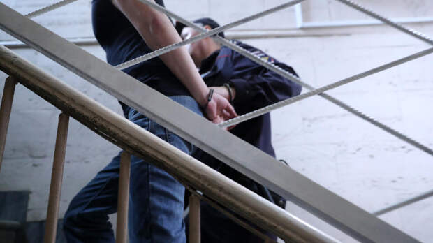 Защита обжаловала арест экс-инвестора Битмамы