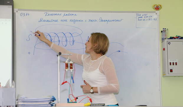Нижегородский школьник хотел продать учителя вместо грызуна