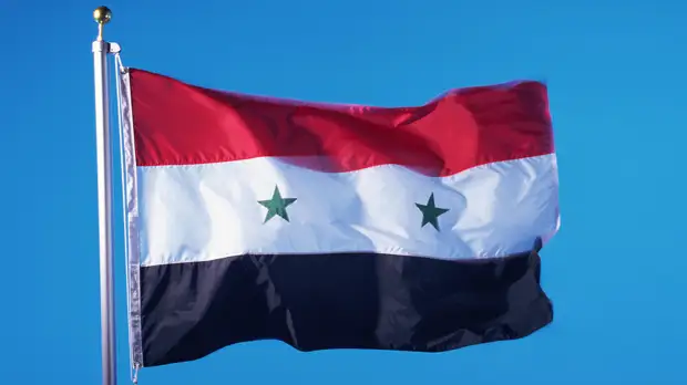 Сирия выразила солидарность с признанными Россией ДНР и ЛНР