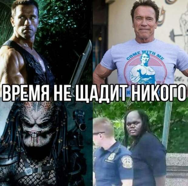 Свежие прикольные фотомемы (25 шт)