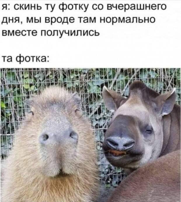 Алкопост