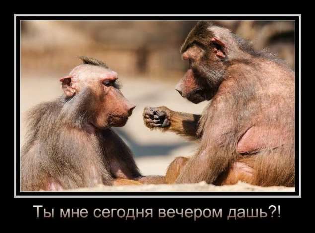 Прикольные демотиваторы с надписями. Подборка chert-poberi-dem-chert-poberi-dem-24290901072020-6 картинка chert-poberi-dem-24290901072020-6