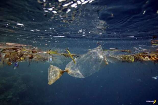Анализ мусора в океане