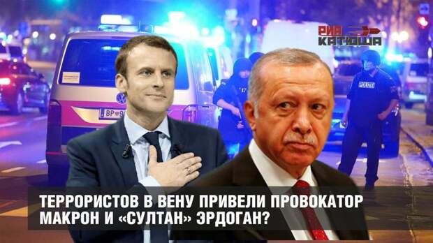 Террористов в Вену привели провокатор Макрон и «султан» Эрдоган?