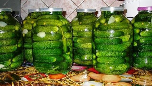 Рецепт малосольных огурчиков по-казацки