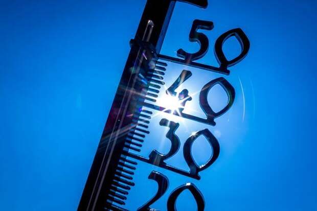 Метеоролог Вильфанд: 2025 войдет в тройку самых теплых годов за всю историю