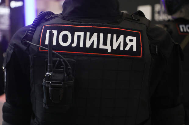 В Петербурге задержали гендиректора «Лендорсторой-2»