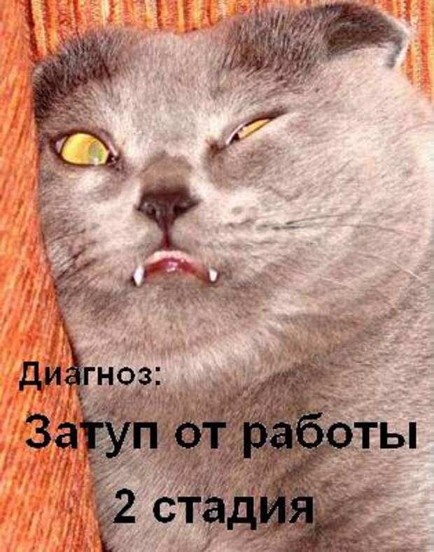 Забавности :) (50штук)