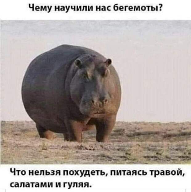Подборка супер смешных картинок и мемов