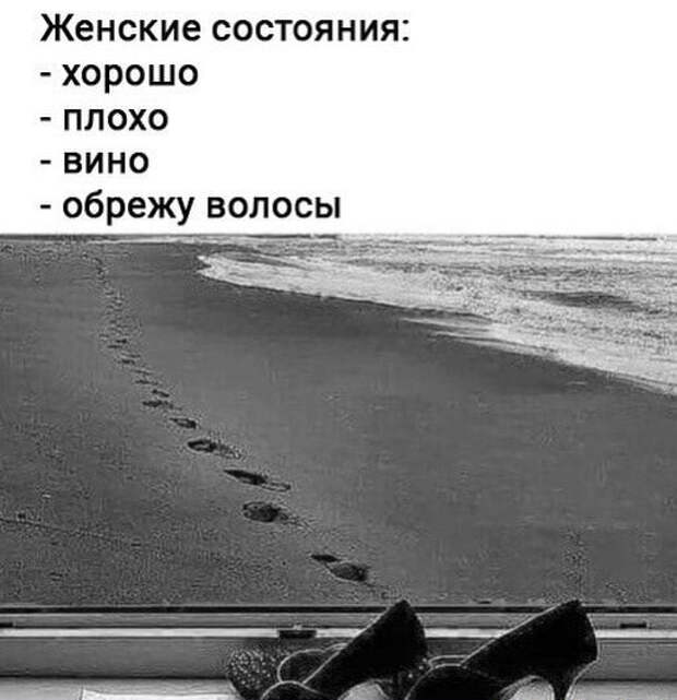 Ржачные свежие картинки с надписями (среда)