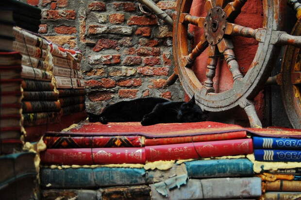 В Венеции даже книги - в гондолах: оригинальная книжная лавка