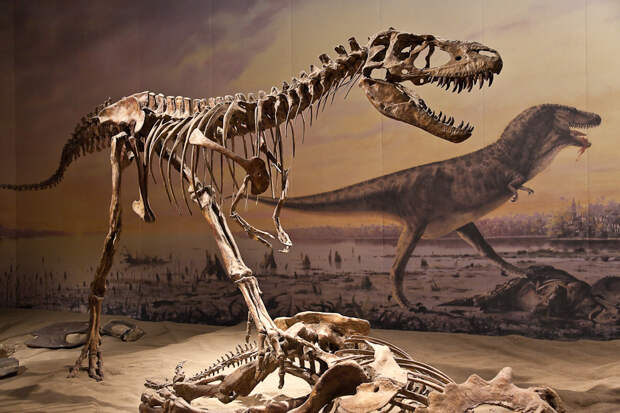 Легко ли переписать историю?
