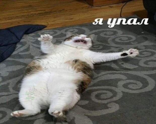 www.vsyako.net
