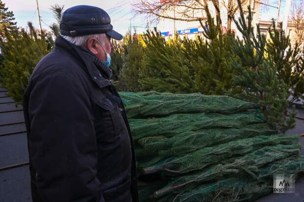Мошенники заманивают покупателей «премиальными» елками по низкой цене