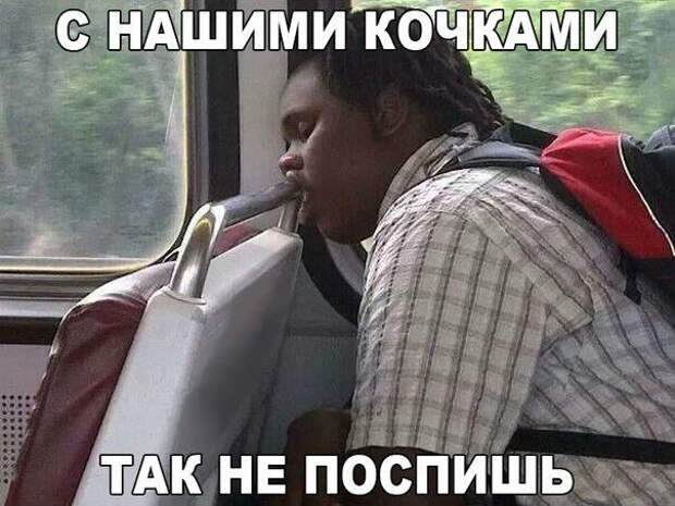 Картинки, юмор, приколы