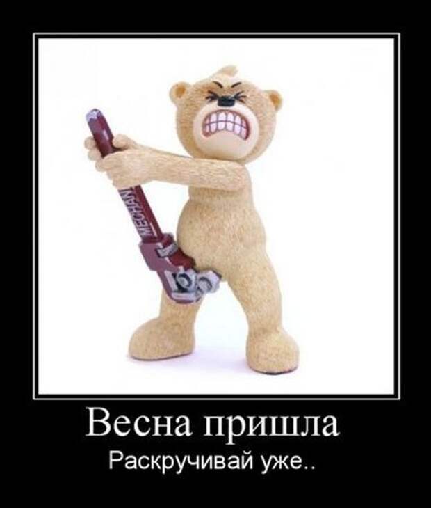 Демотиваторы (30 фото)
