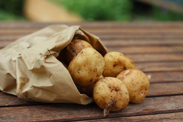 Американские ученые рассказали, как картофель помогает избавиться от лишнего веса