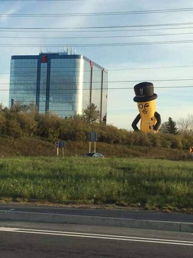 1478160432_27