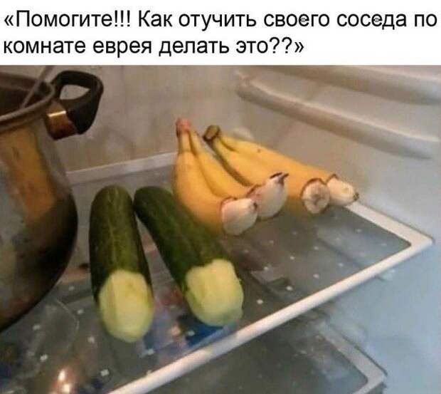 204731_1_trinixy_ru.jpg