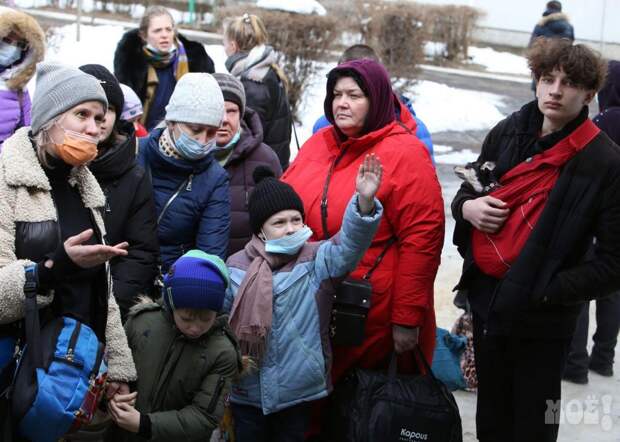 Стремительное отрезвление: стало известно, что реально думают украинские беженцы о поляках