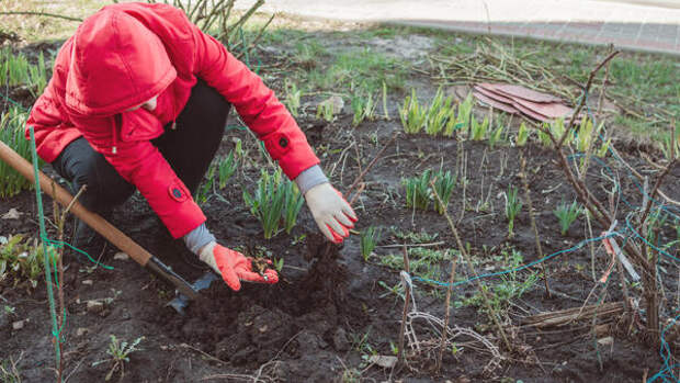 Как привести дачный участок в порядок после зимы — инструкция в пять шагов