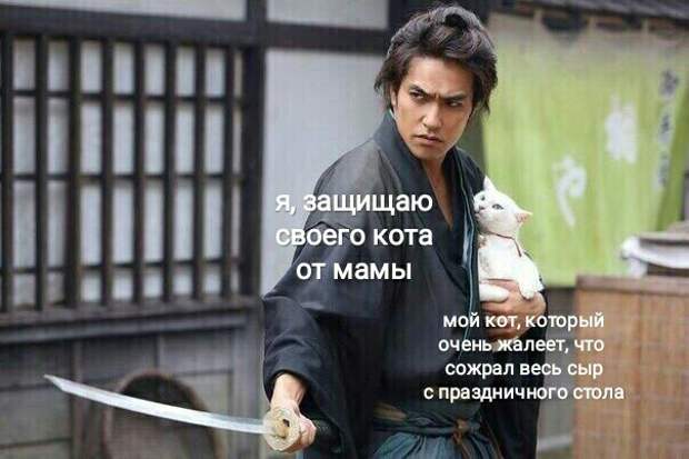 Как я себя вижу, когда защищаю своего кота Как я себя вижу, когда защищаю своего кота