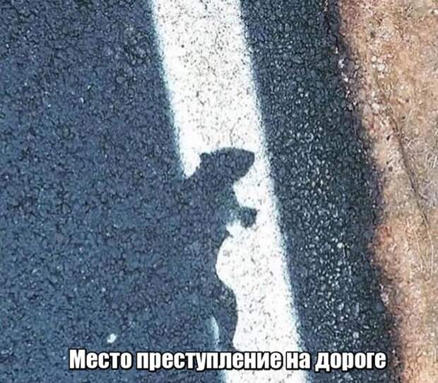 Мир никогда не прекратит удивлять нас Мир никогда не прекратит удивлять нас