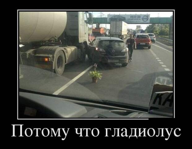 Демотиваторы (30 фото)
