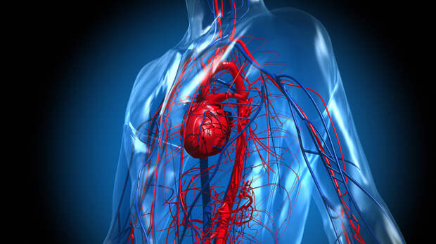 Кардиолог назвала фильмы ужасов опасными для людей с больным сердцем